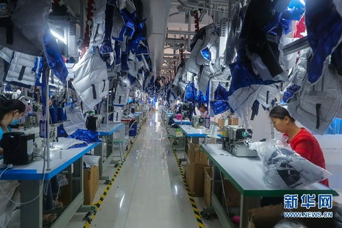 河南光山 羽絨產品走俏全國