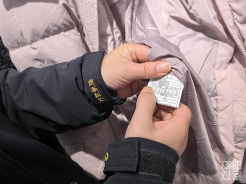 羽絨制品 以絲代絨 含絨量0 資陽開展羽絨服市場 大體檢
