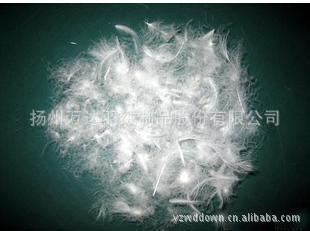 揚州萬達羽絨制品：專業韓版女式高檔羽絨服批發與訂單加工服務